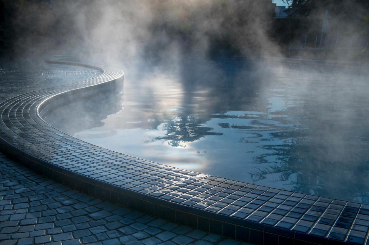 Abano Ritz Hotel Terme Abano Terme Esterno foto The thermal water of the spa