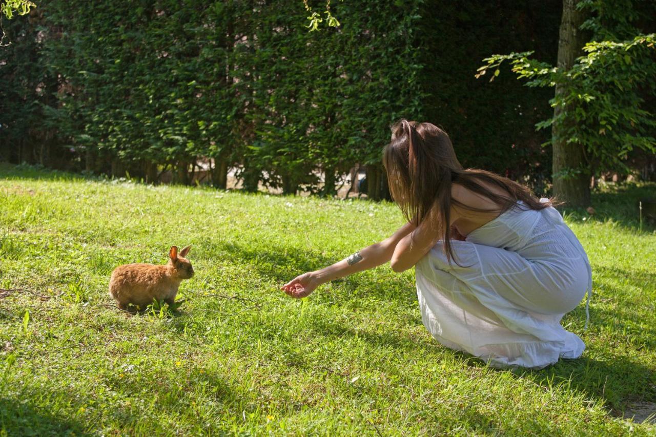 Abano Ritz Hotel Terme Abano Terme Esterno foto A woman feeding a rabbit